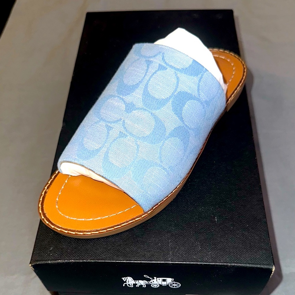 Brand new Coach slippers in box never worn. Carolina blue Coach logo design.